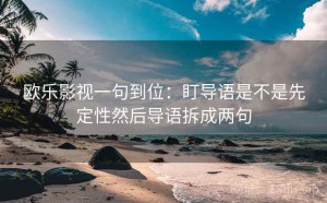 欧乐影视一句到位：盯导语是不是先定性然后导语拆成两句