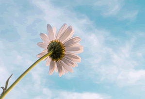 觅圈两步读法:先抓轴线起点是不是动过,再补上单位标注(评论也能用)